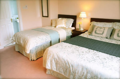 Carrigane House 2*